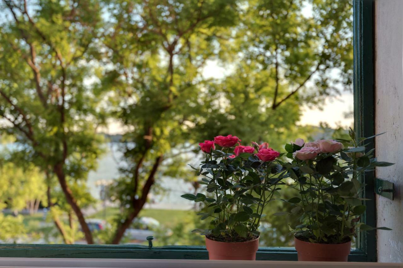 Apartment Oliveto Šibenik Exterior foto